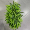 verde 2