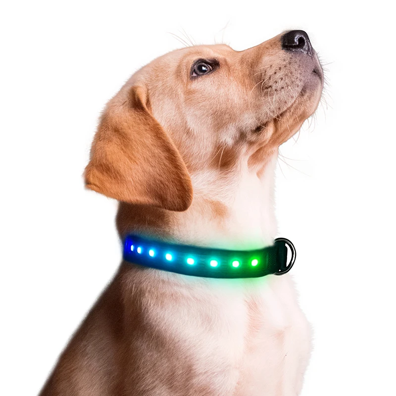 Smart Phone APP Control  Highlight LED Pet Collar with Pin Buckle Luminous Dog Necklace