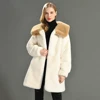Colletto bianco-marrone