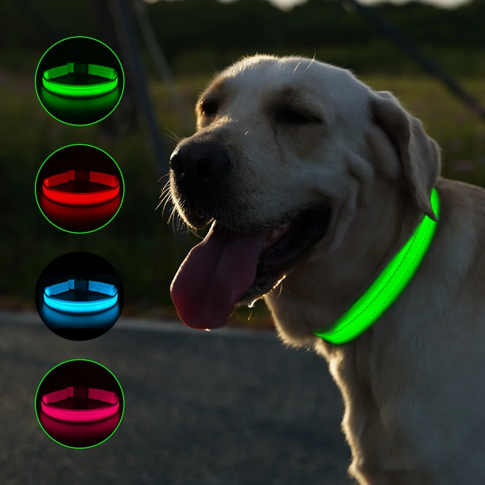 New Product Custom Designer Led Light up Pet Dog Collar for Big Small Dog