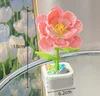 Lotus rose
