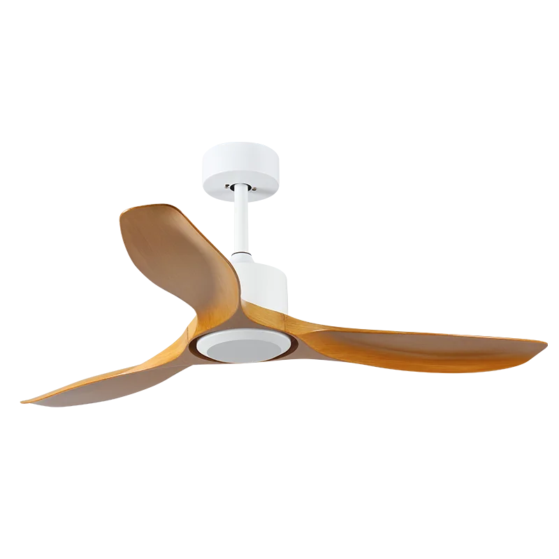 Fabriek direct zwarte buitenventilator, waterdicht, zonder licht en afstandsbediening, 3 ABS-bladen, omkeerbare BLDC-DC-motor