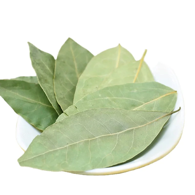 香料供应商批发优质干月桂叶月桂树价格优惠 Buy 干月桂叶 月桂叶laurel 月桂叶价格product On Alibaba Com 香料供应商批发优质干月桂叶月桂树价格优惠 Buy 干月桂叶 月桂叶laurel 月桂叶价格product On Alibaba Com
