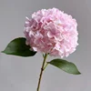 2# Rosa claro