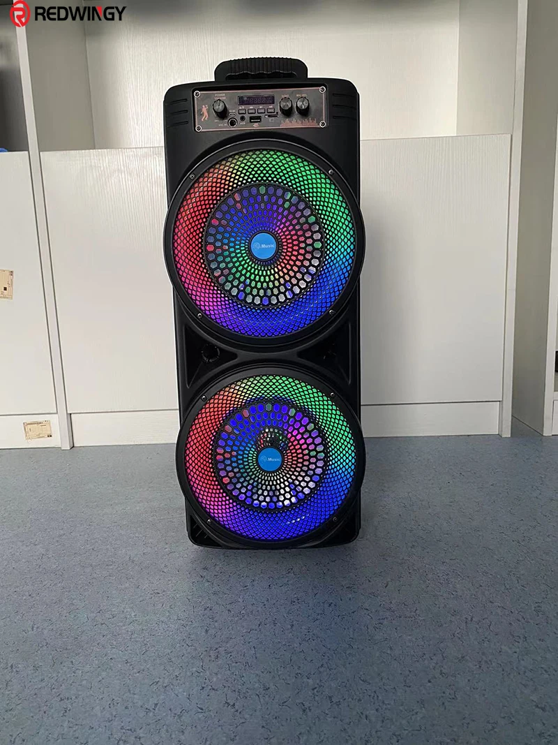 Redwingy TTD-2807 Dual 8inch Speaker - Powerful Sound & Lights