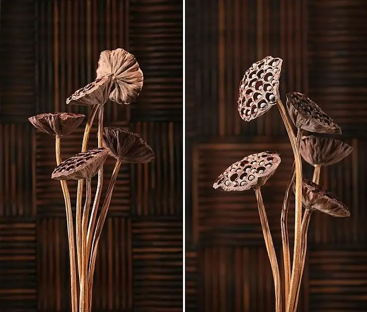 Dried lotus store flower