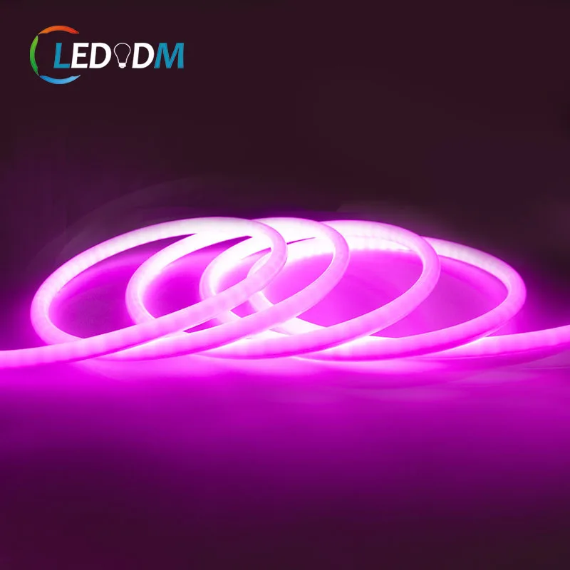 DC12v 24v Ws2811 Addressable Pixel Colorful RGB Neon Round 260 Angle Beam Strip Light 5m 10m Neon Led Flexible Strips Lights