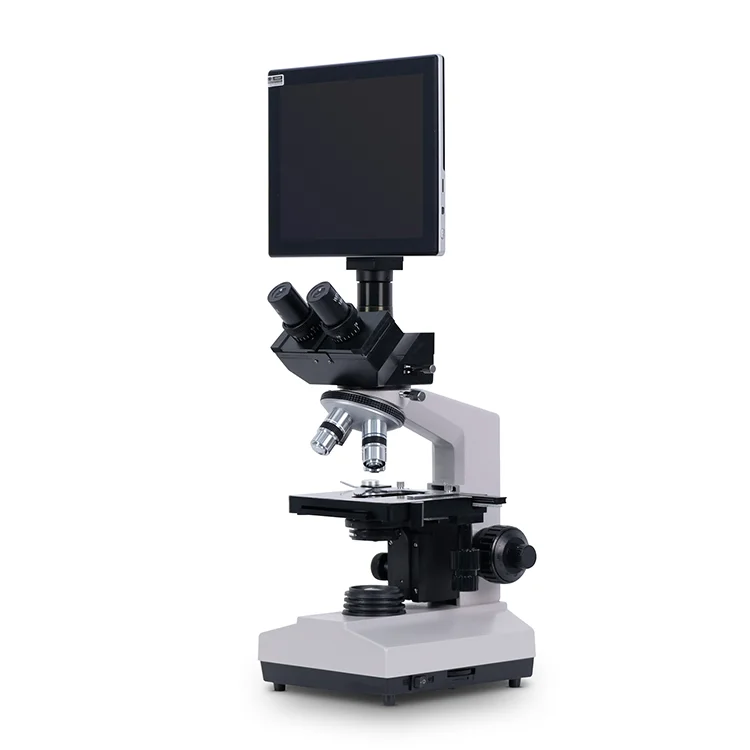 YSXWJ2310 Medical Microscope Electronique Factory Binocular Microscope Medical Germ Digital Scanning Electron Microscope Price