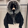 Sliver Fox