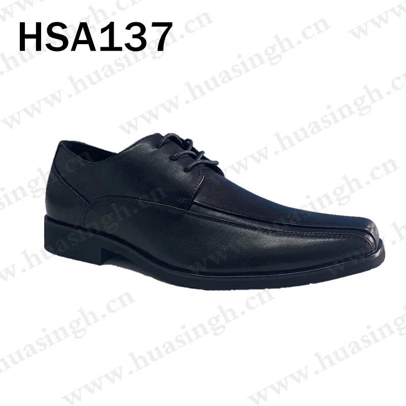 HSA137-1