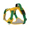 Amarillo + Verde