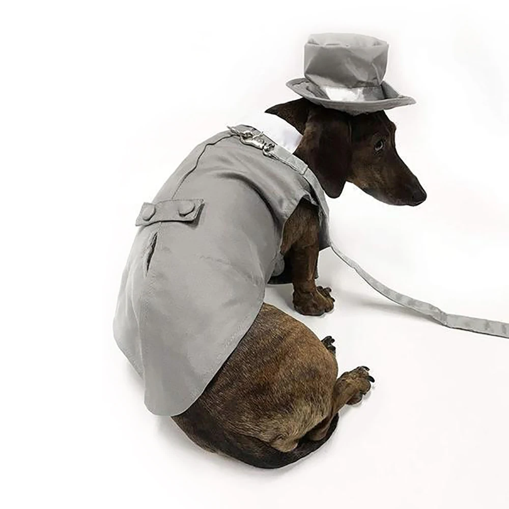 Saiji Luxury Fashion Pet Spring Summer Vacation Twopiece Suit Evening