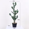 76cm