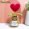 Pianta in vaso con cuore all'uncinetto marrone1