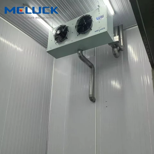 New Low-Temperature Air-Cooled Cold Room Refrigeration Equipment Freezer Compressors 220V Voltage Cold Storage Room