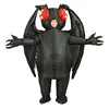 Chauve-souris adulte