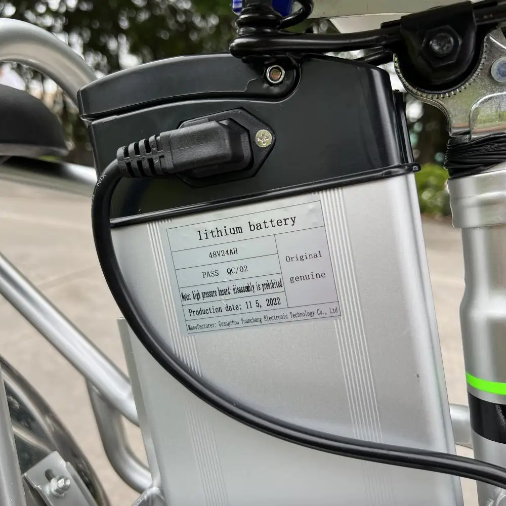 Disiyuan High Quality Electric Bikes 16x3 Inch 1000w 60v Lithium