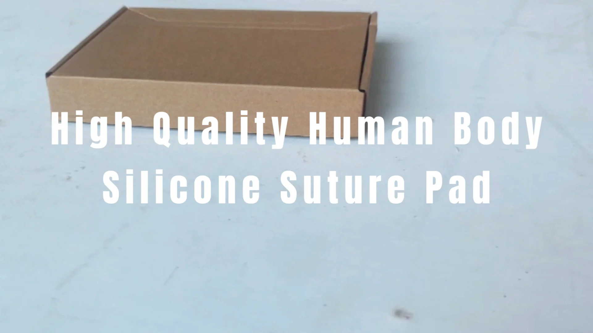 Teaching Resources Educational Medical Science Anatomy Surgery Human