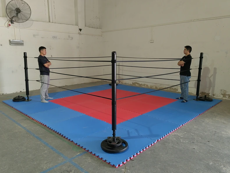 Mini 4x4 Boxing Ring - Compact and Economical Training Space