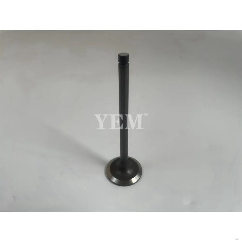 Hot Selling Up F20C Intake Valve Kit for Hino