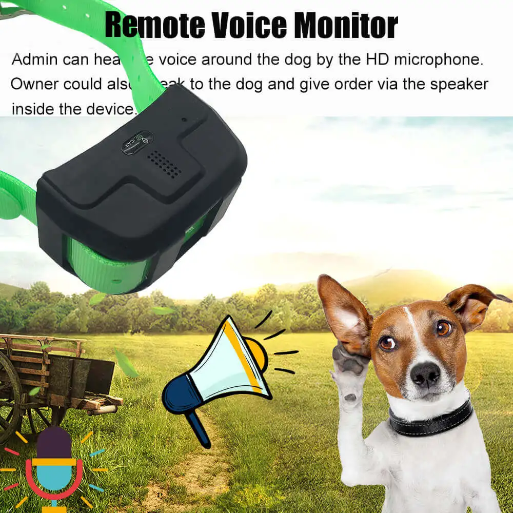 4G IK122 PRO DOG GPS  (12).jpg