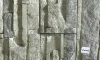 ZW005