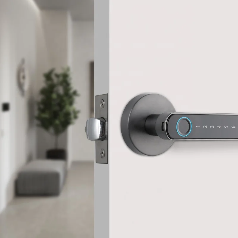 Rechargeable Fingerprint Code Password Unlock Intelligent Mortise Latch Door Locks Steel Door Cloud Data Storage for House Use