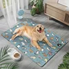Ice Silk Pet Mat - Cat Park Blue
