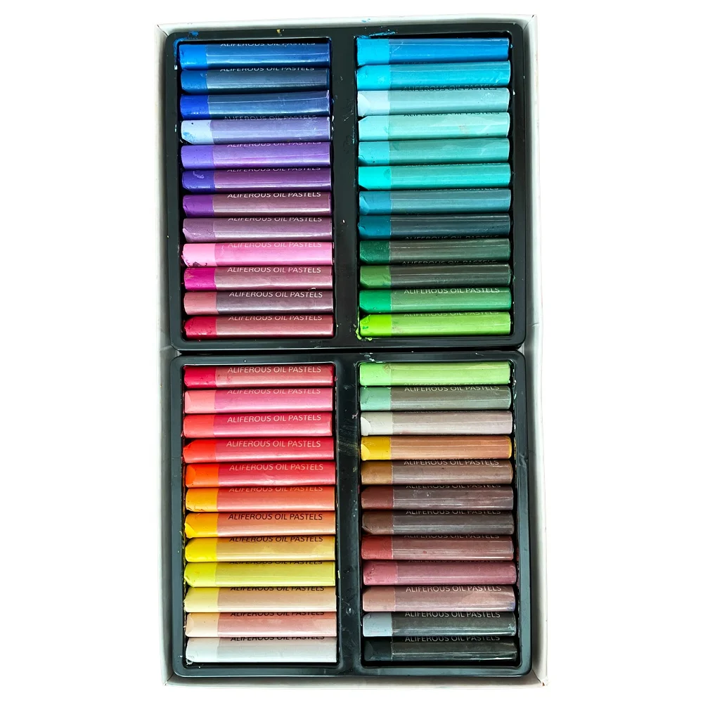 24 or 48 Colours Studio Basics Artists Soft Oil Pastels Set Art Pastel  Sticks