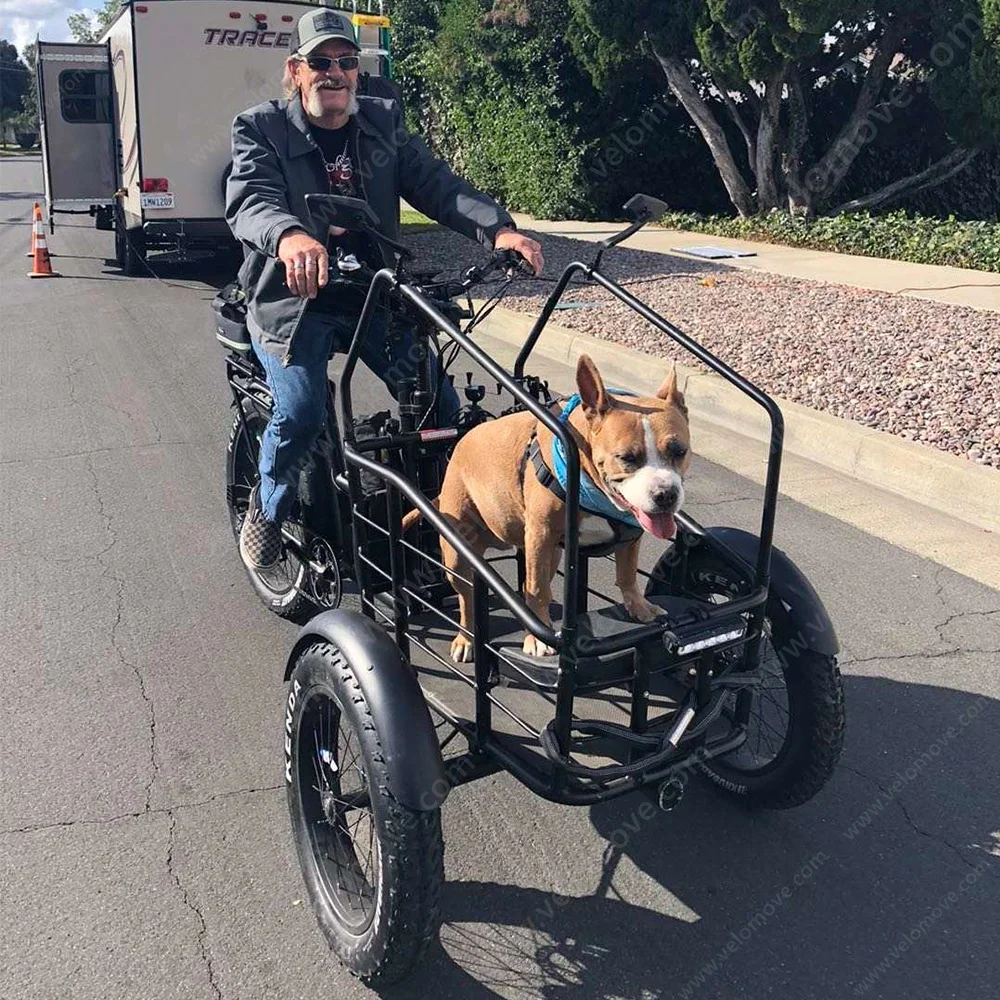 500w Motor Electric Front Load Cargo Bike With Lithium Battery 3 Wheel