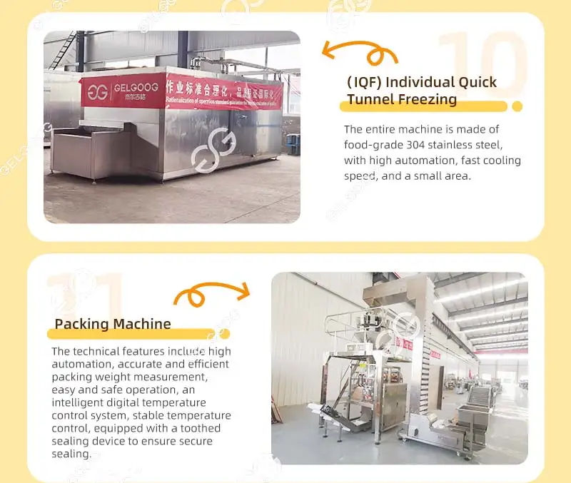French Fries Maker Machine Price India - High Efficiency