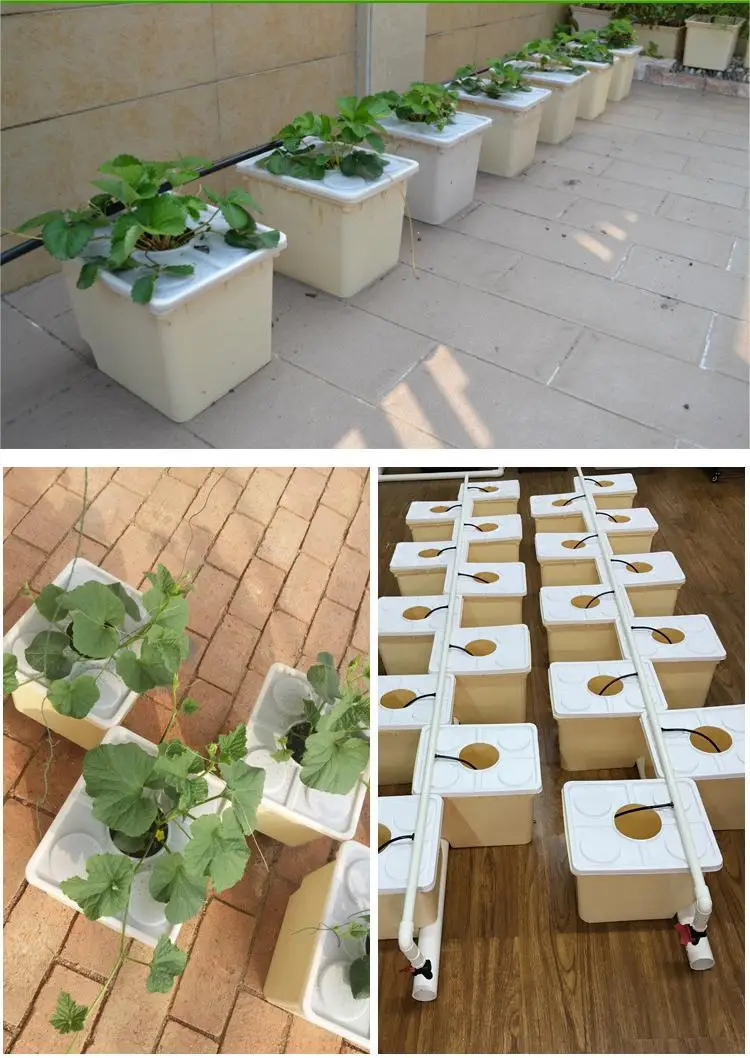 11 Litre Plastic Drip Irrigation Hydroponic System Dutch Bucket Bato