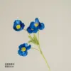 Amapola azul violeta