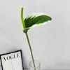 Bord blanc vert