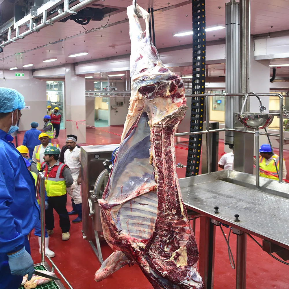 New halal cattle and sheep slaughterhouse buffalo slaughtering machinery slaughtering equipment