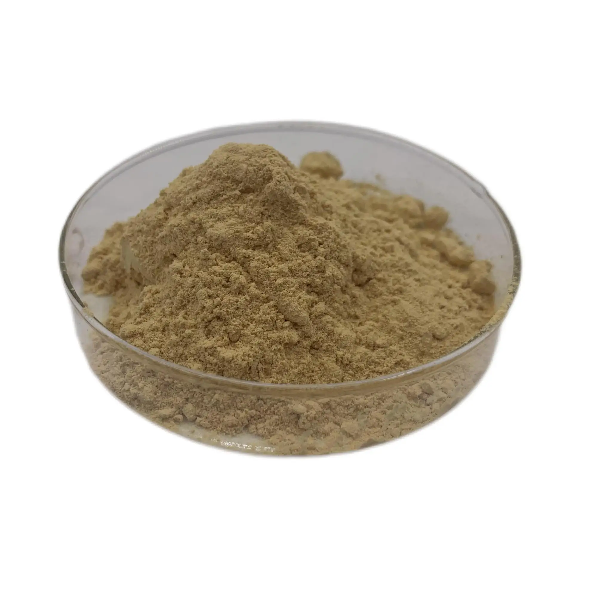 Pure Dimocarpus Longan Extract Dried Longan Fruit Powder Longan Fruit/ Seed Extract