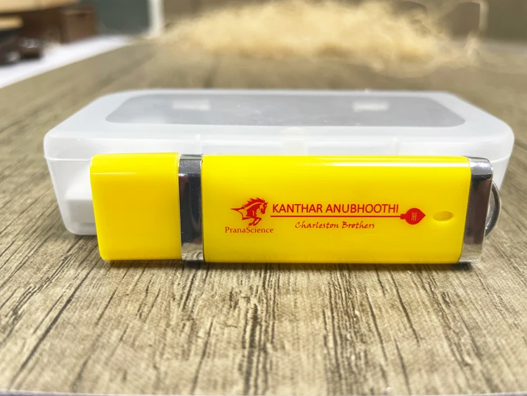 Bulk Cheap Business Gift Plastic USB Flash Drive 1GB 2GB 4GB 8GB 16GB 2.0 USB Stick Pen Drive with Custom Logo - ANKUX.COM