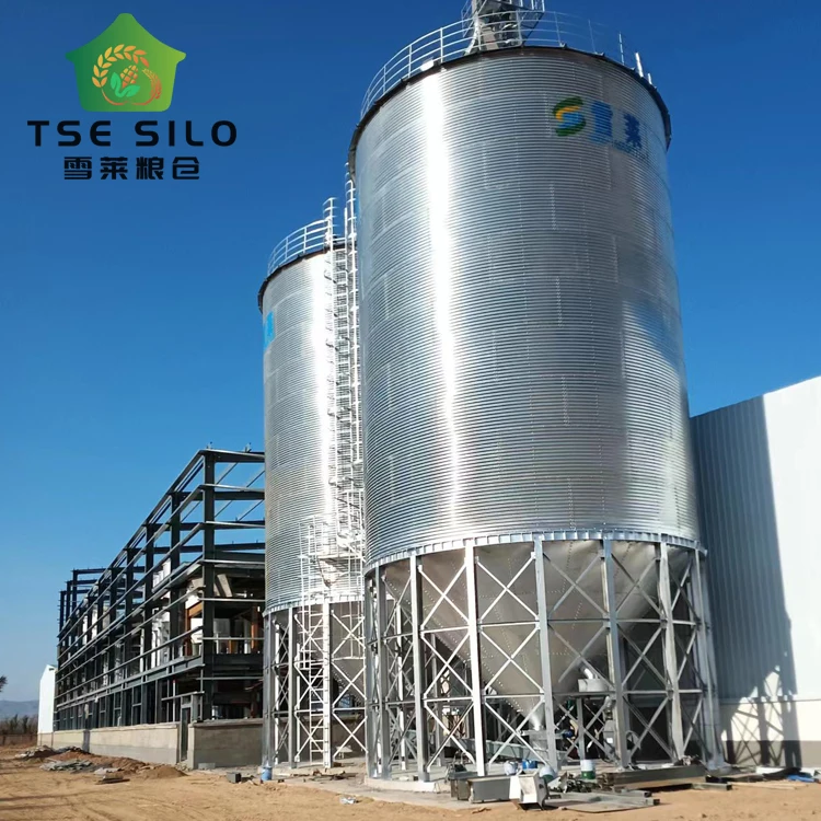 500tons Galvanized Sheet Feed Grain Storage Silo Grain Corn Flour for Poultry Chicken Farm