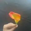COLOR 4