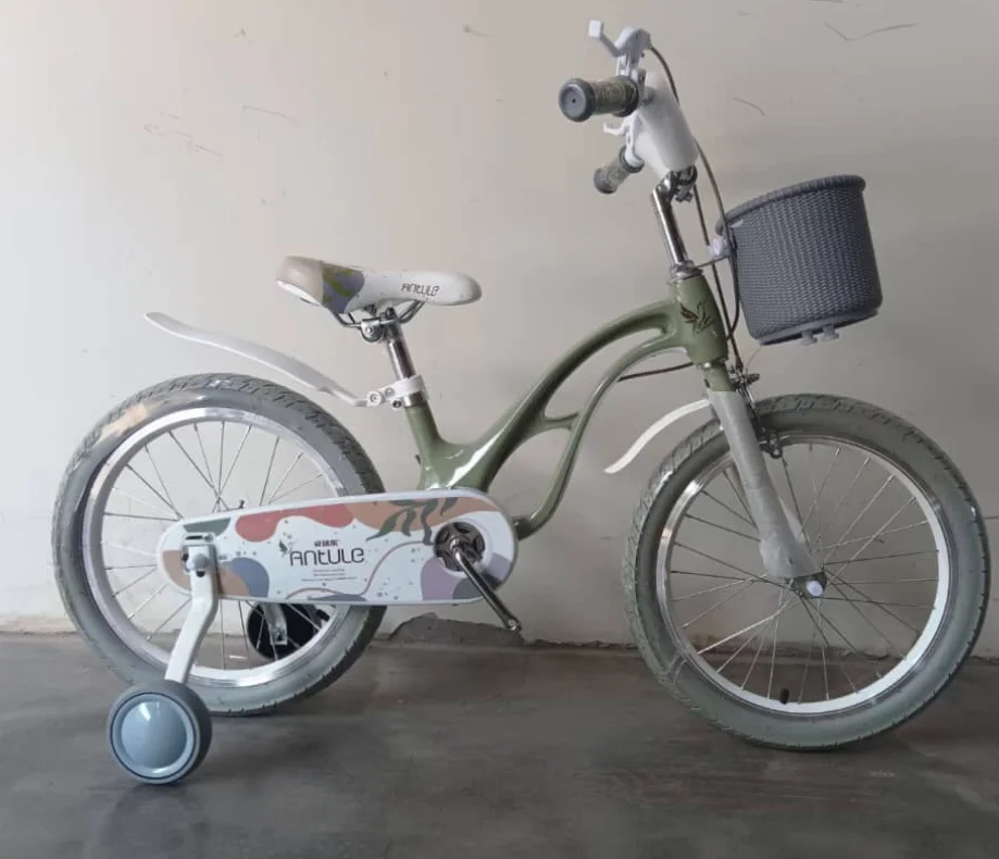 pegasus fahrrad werksverkauf Solero E8R Plus City E-Bikes gebraucht reartravel-116-135mm C20 Fat Tire Folding Module:M4
