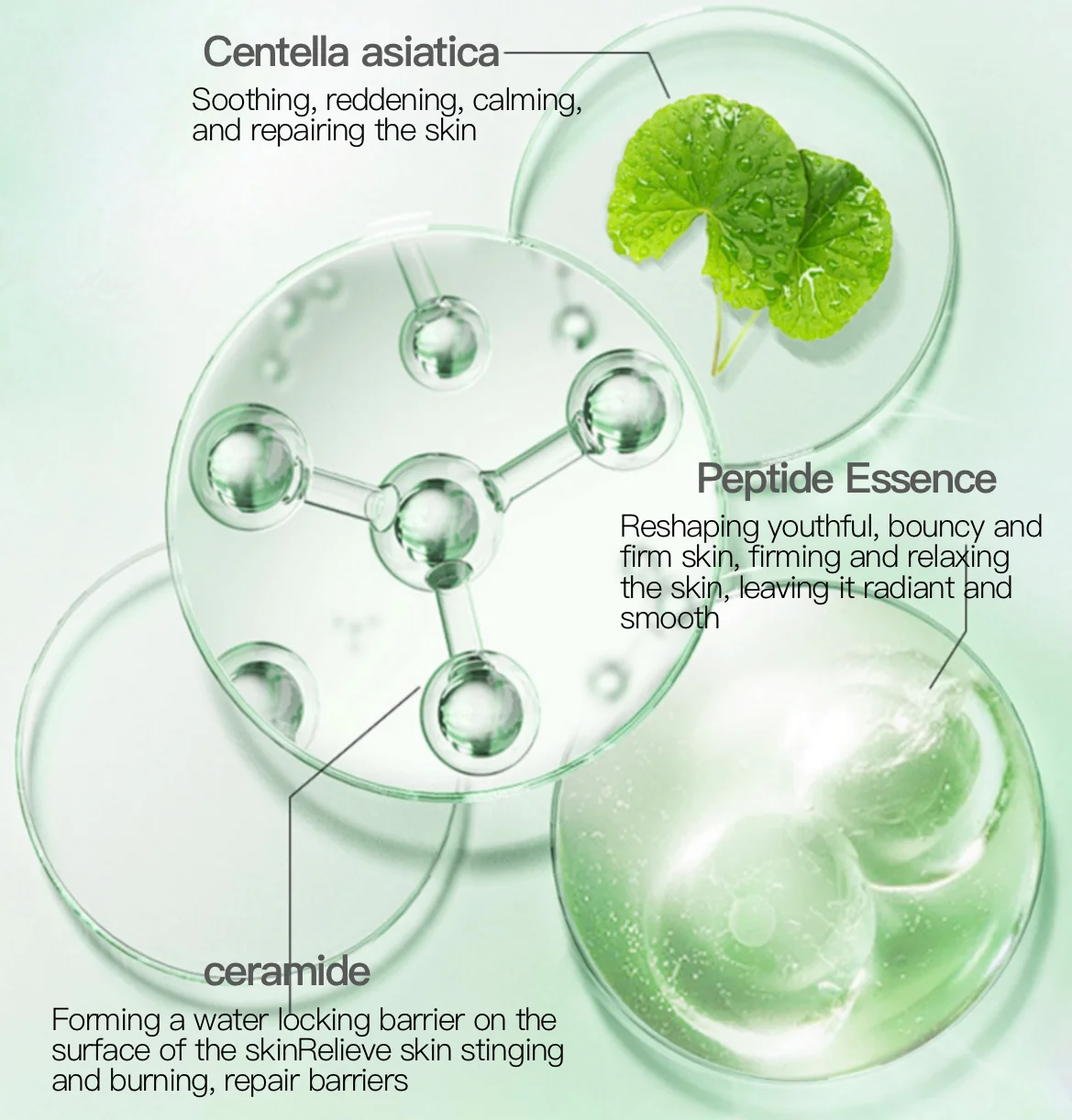 Centella Asiatica Extract Skin Care Set With Hyaluronic Acid & Vitamin