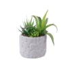Artificial Aloe & Succulent in Cement Pot