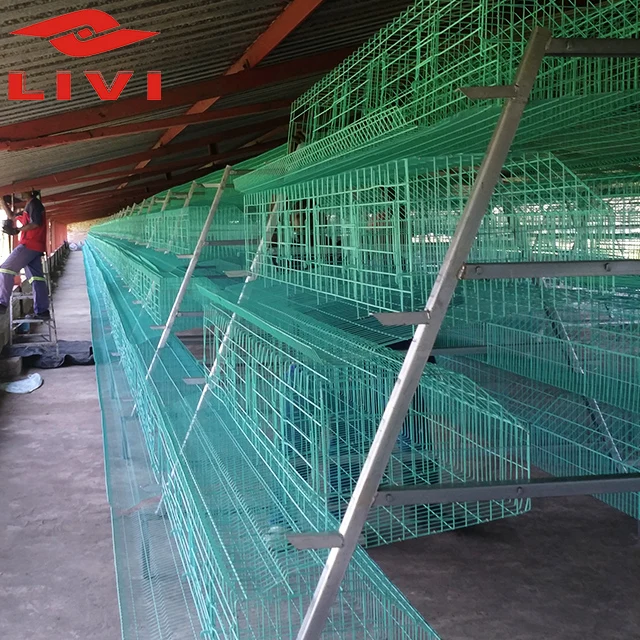 
4 TierS Chicken Layer Battery Cage wire cage with automatic feeder for Indonesia Poultry Farm 