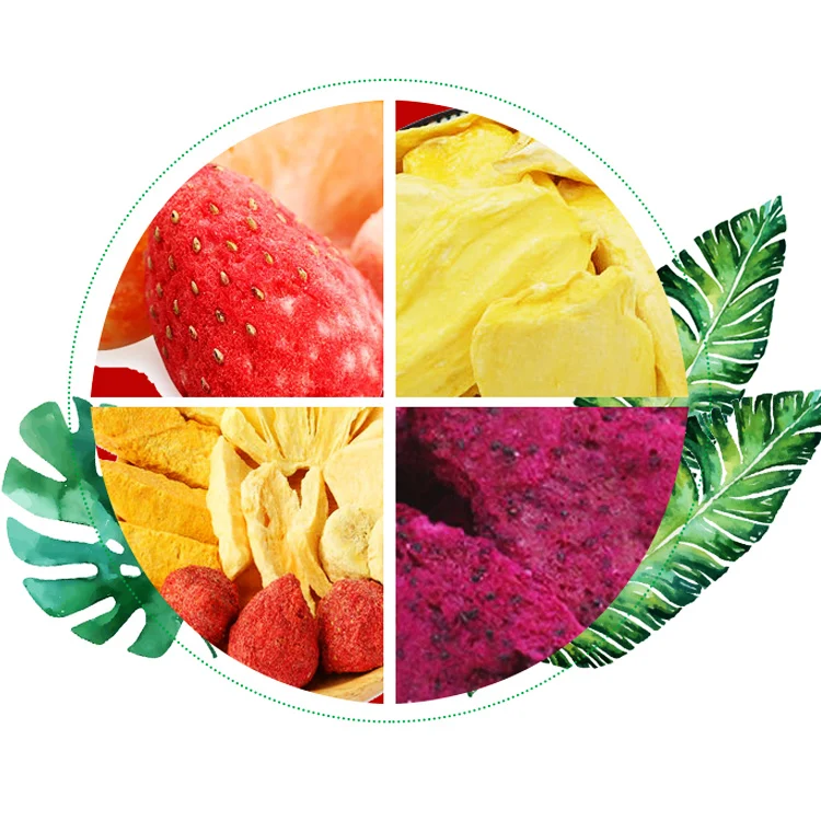 TCA Small Type Freeze Drying Lyophilizer Machine Industrial Fruit and Vegetables Vacuum Freeze Dryer