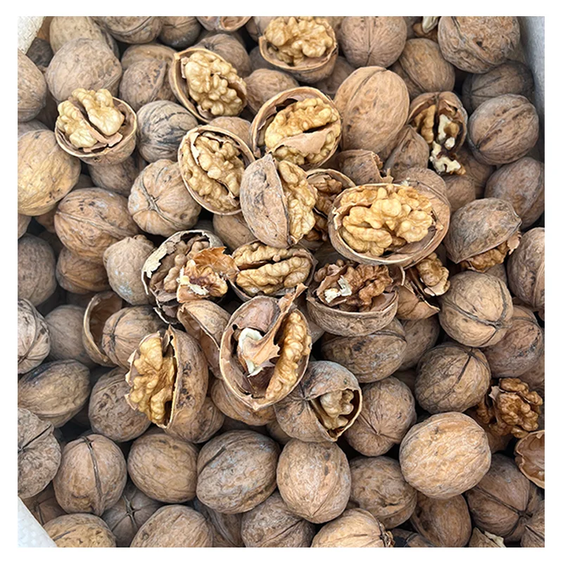 Shelled Walnuts Extra 5-7cm Light Kernels Premium Quality 20kg PP Bag Competitive Price Walnuts