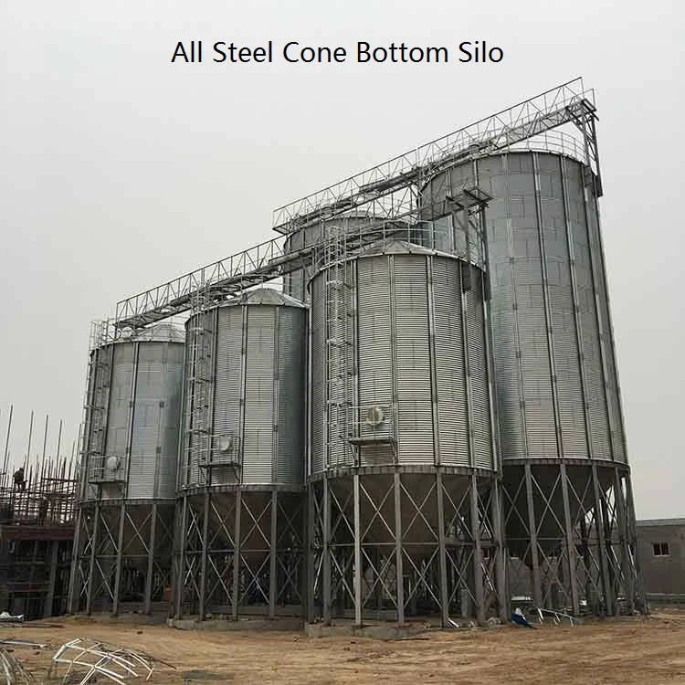 Grain Silo With 100tons Capacity For Storing Rice Corn Paddy Grain