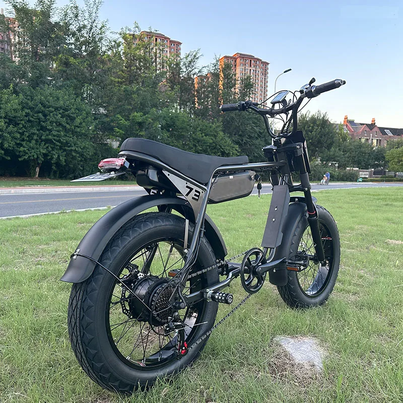 Akez ZX Velo Electrique E-Bike 500W-1500W, 20