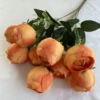Orange 6