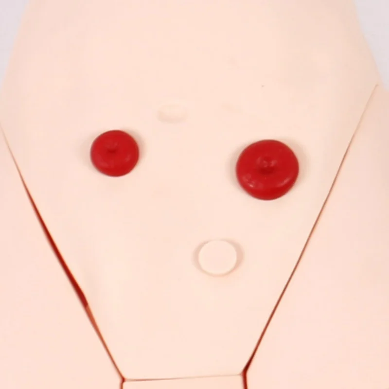 DARHMMY PVC Male Catheterisation Teaching Model for Medical Science for Nursing Skills Training in Schools and Hospitals