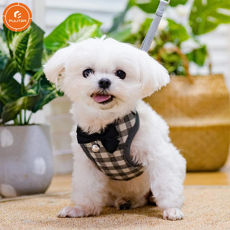 Small Dog Harness (1).jpg